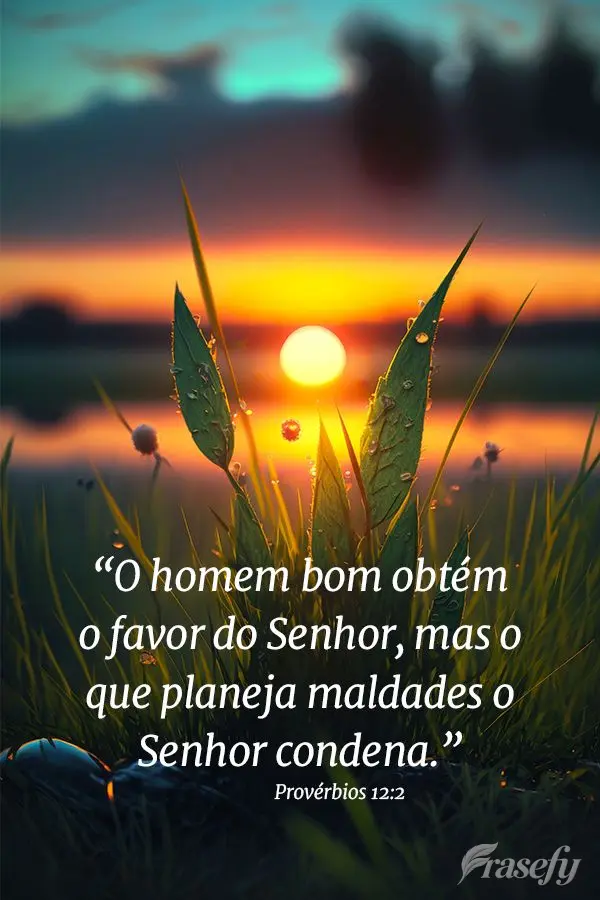 O homem bom obtém o favor do Senhor, mas o que planeja maldades o Senhor condena.  Provérbios 12:2