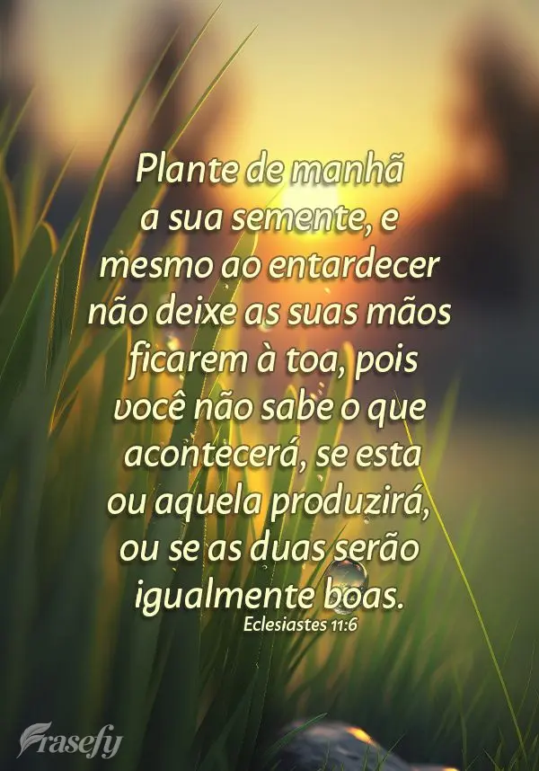 Plante de manhã a sua semente, e mesmo ao entardecer não deixe as suas mãos ficarem à toa, pois você não sabe o que acontecerá, se esta ou aquela ...