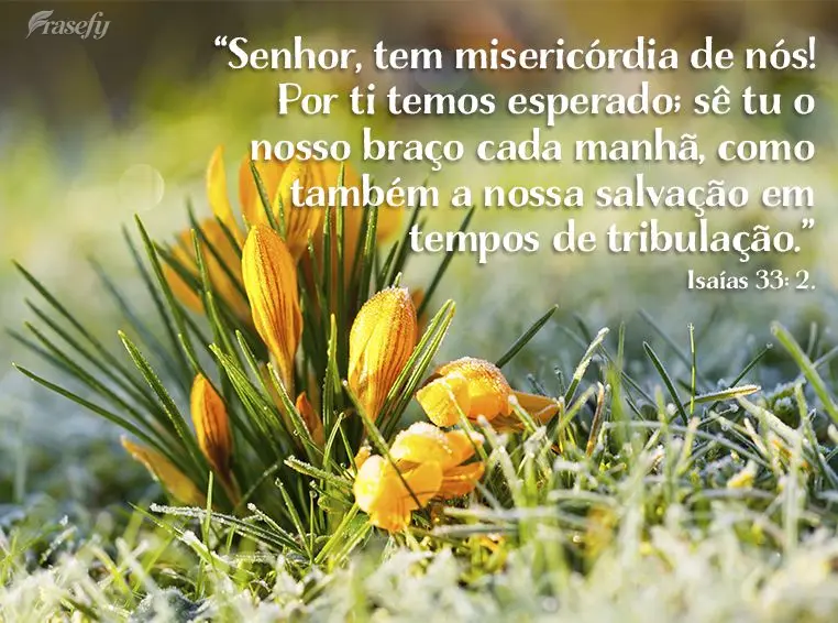 “Senhor, tem misericórdia de nós! Por ti temos esperado; sê tu o nosso braço cada manhã, como também a nossa salvação em tempos de tribulação...