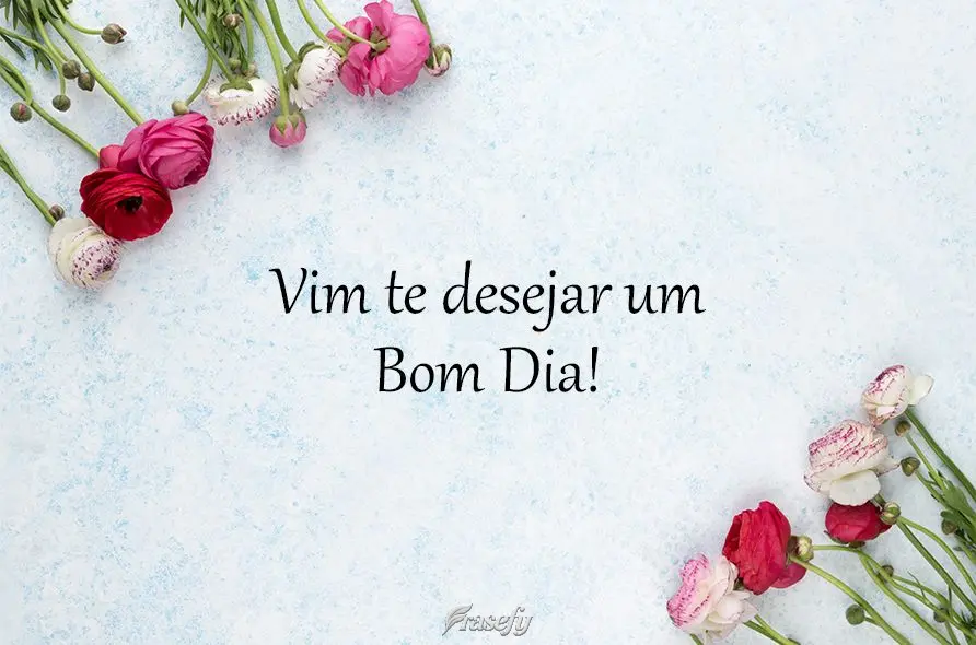 Vim te desejar um Bom Dia!