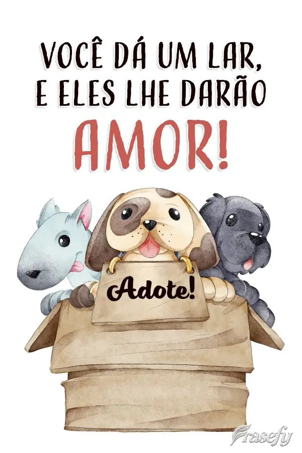 Você dá um lar, e eles lhe darão amor!  Adote!