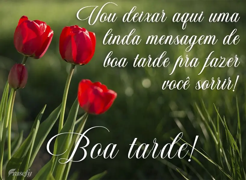 Vou deixar aqui uma linda mensagem de boa tarde pra fazer você sorrir! Boa tarde!
